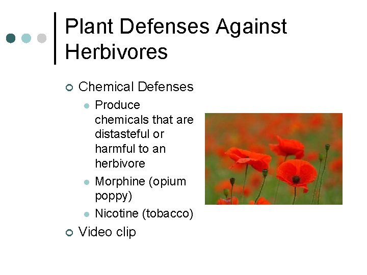 Plant Defenses Against Herbivores ¢ Chemical Defenses l l l ¢ Produce chemicals that Plant Defenses Against Herbivores ¢ Chemical Defenses l l l ¢ Produce chemicals that