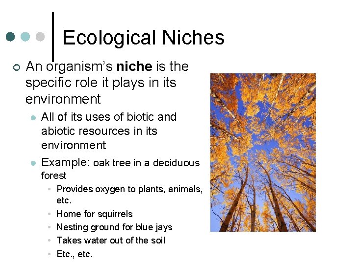Ecological Niches ¢ An organism’s niche is the specific role it plays in its Ecological Niches ¢ An organism’s niche is the specific role it plays in its