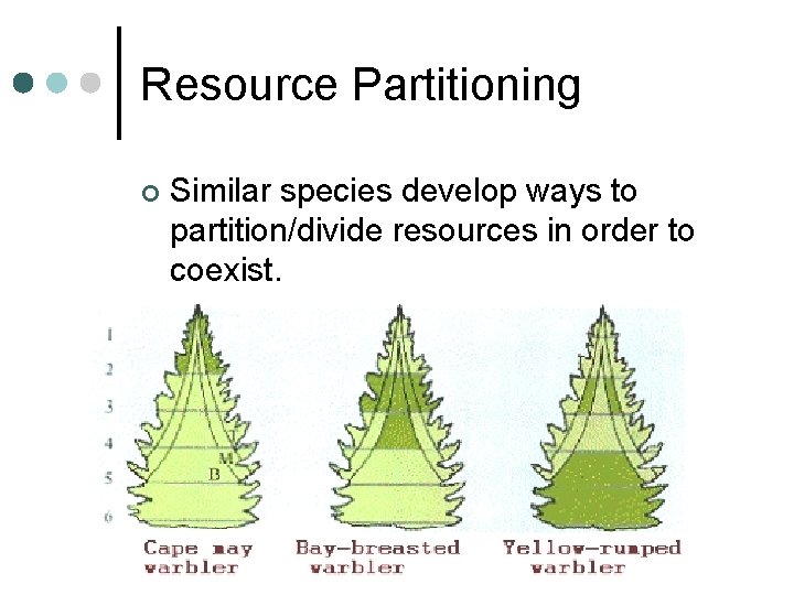 Resource Partitioning ¢ Similar species develop ways to partition/divide resources in order to coexist. Resource Partitioning ¢ Similar species develop ways to partition/divide resources in order to coexist.