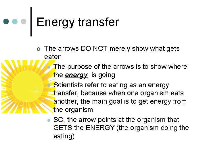 Energy transfer ¢ The arrows DO NOT merely show what gets eaten l The Energy transfer ¢ The arrows DO NOT merely show what gets eaten l The