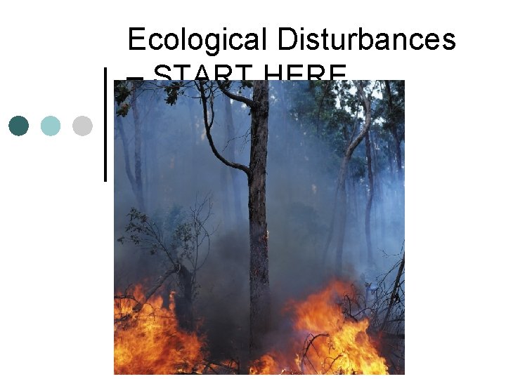 Ecological Disturbances – START HERE Ecological Disturbances – START HERE