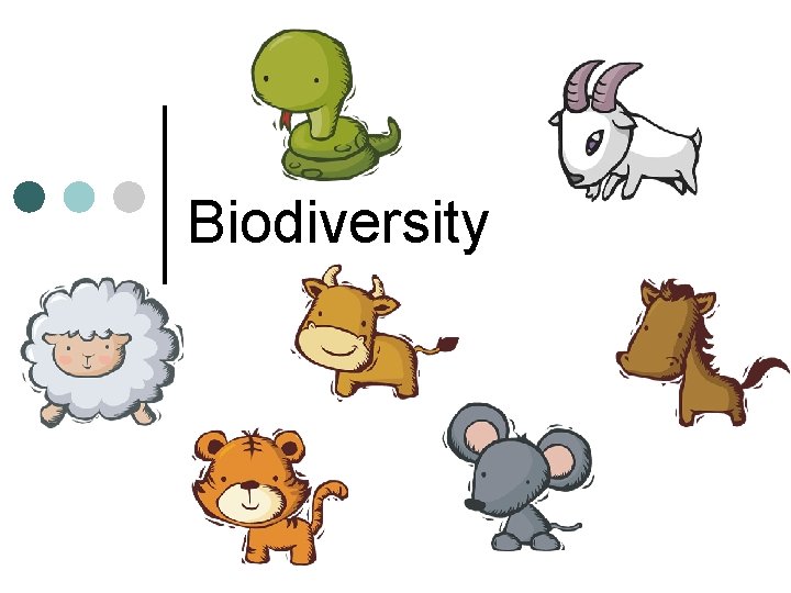Biodiversity Biodiversity