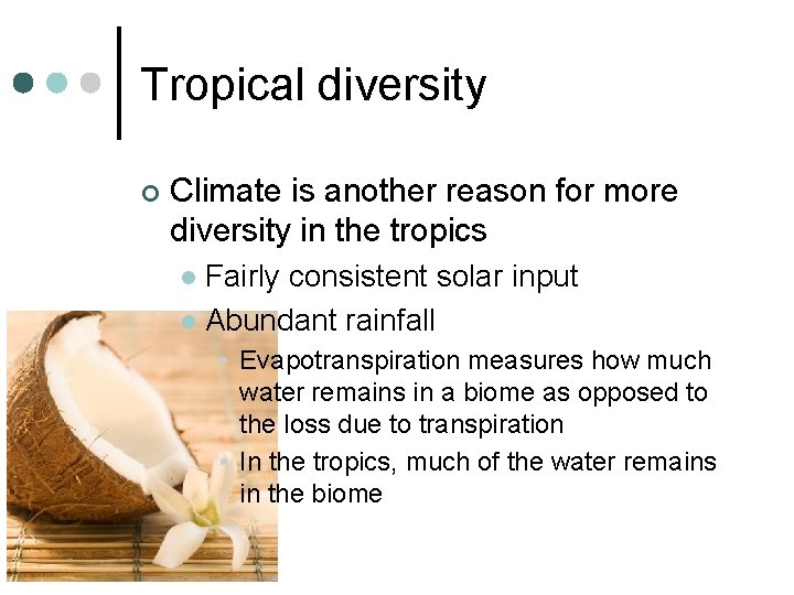 Tropical diversity ¢ Climate is another reason for more diversity in the tropics Fairly Tropical diversity ¢ Climate is another reason for more diversity in the tropics Fairly