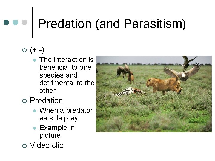 Predation (and Parasitism) ¢ (+ -) l ¢ Predation: l l ¢ The interaction Predation (and Parasitism) ¢ (+ -) l ¢ Predation: l l ¢ The interaction