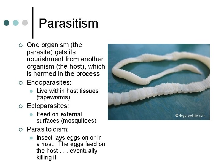 Parasitism ¢ ¢ One organism (the parasite) gets its nourishment from another organism (the Parasitism ¢ ¢ One organism (the parasite) gets its nourishment from another organism (the