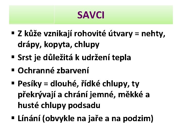 SAVCI § Z kůže vznikají rohovité útvary = nehty, drápy, kopyta, chlupy § Srst