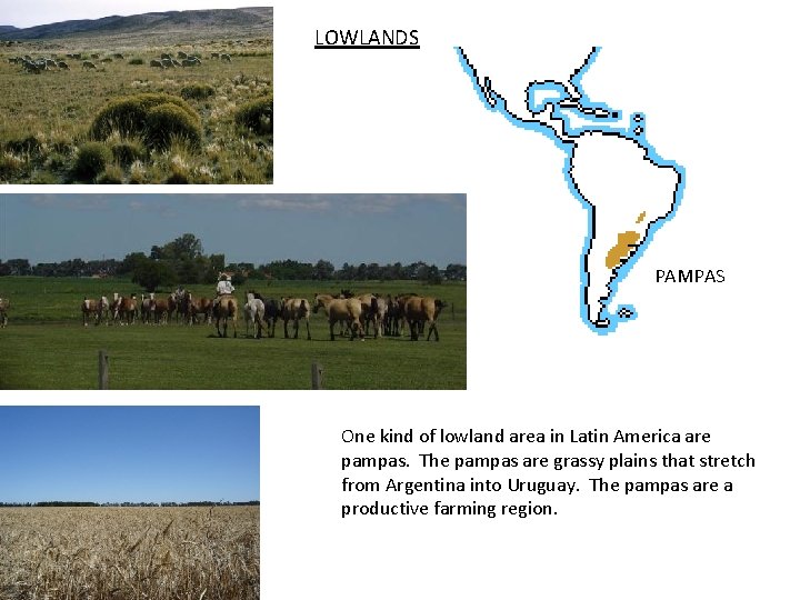 LOWLANDS PAMPAS One kind of lowland area in Latin America are pampas. The pampas