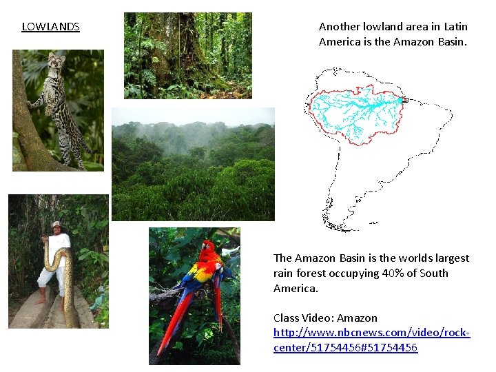 LOWLANDS Another lowland area in Latin America is the Amazon Basin. The Amazon Basin