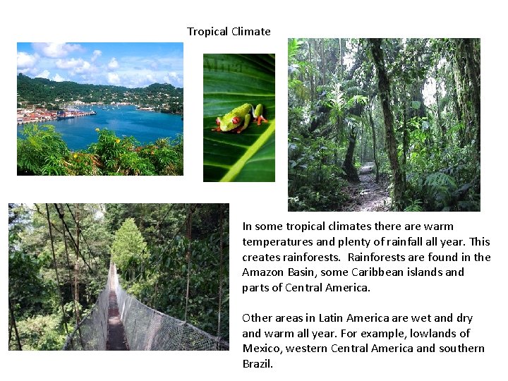 Tropical Climate In some tropical climates there are warm temperatures and plenty of rainfall