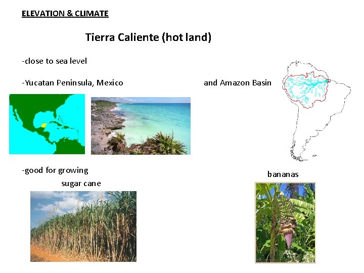 ELEVATION & CLIMATE Tierra Caliente (hot land) -close to sea level -Yucatan Peninsula, Mexico