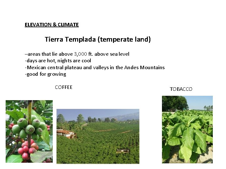 ELEVATION & CLIMATE Tierra Templada (temperate land) –areas that lie above 3, 000 ft.
