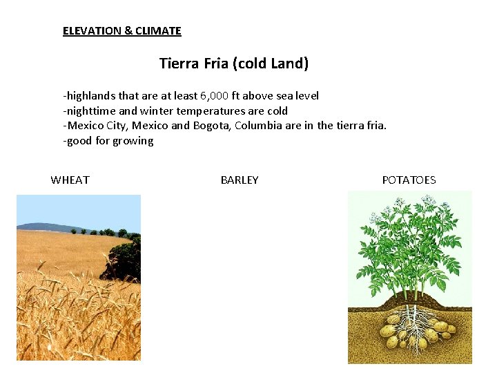 ELEVATION & CLIMATE Tierra Fria (cold Land) -highlands that are at least 6, 000