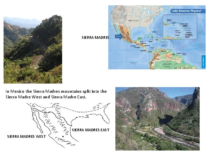 SIERRA MADRES In Mexico the Sierra Madres mountains split into the Sierra Madre West