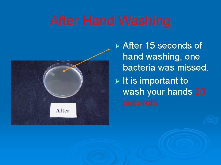 After Hand Washing Ø After 15 seconds of hand washing, one bacteria was missed.