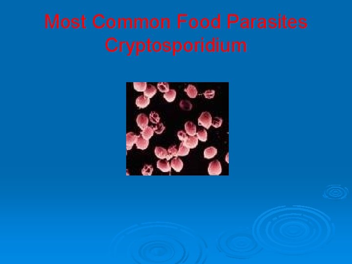 Most Common Food Parasites Cryptosporidium 