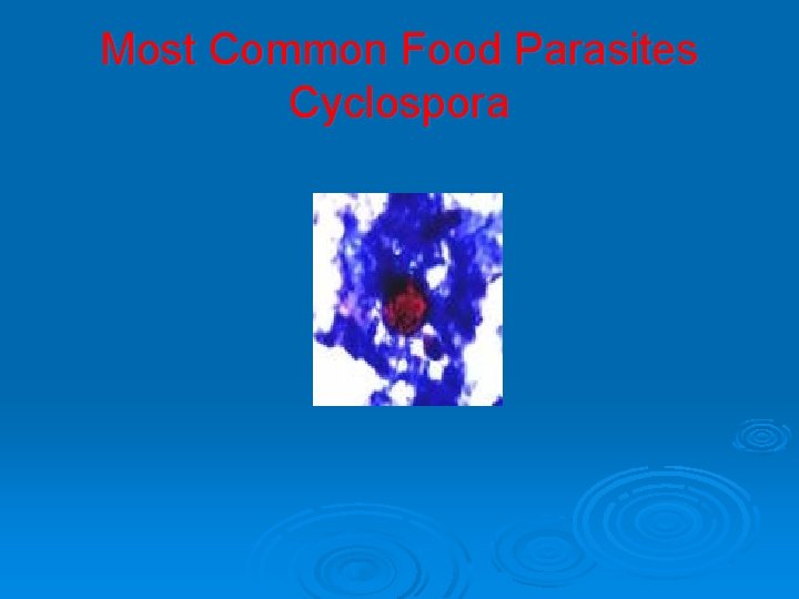 Most Common Food Parasites Cyclospora 