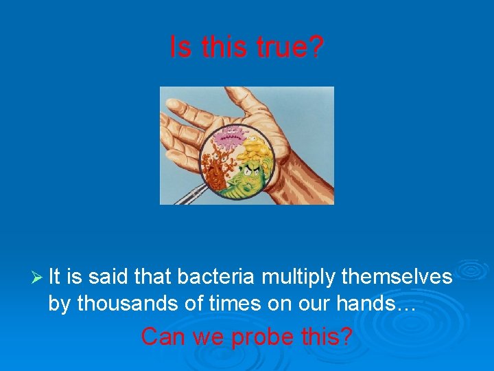 Is this true? Ø It is said that bacteria multiply themselves by thousands of