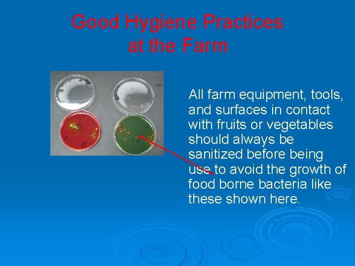 Good Hygiene Practices at the Farm All farm equipment, tools, and surfaces in contact