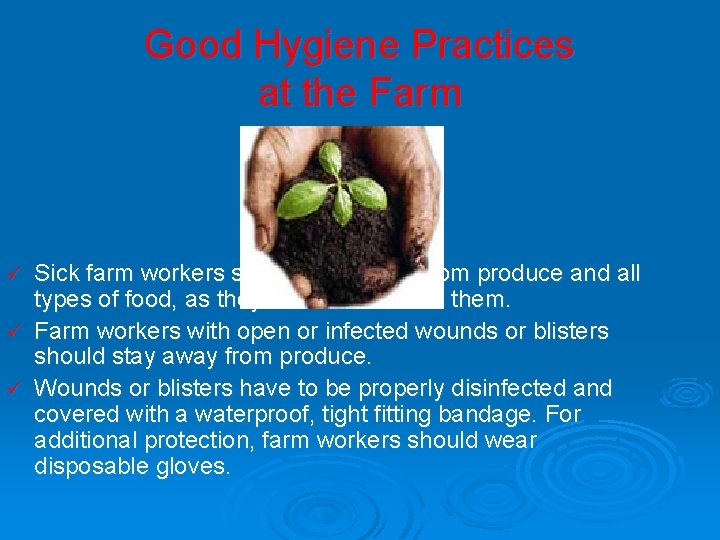 Good Hygiene Practices at the Farm Sick farm workers should stay away from produce