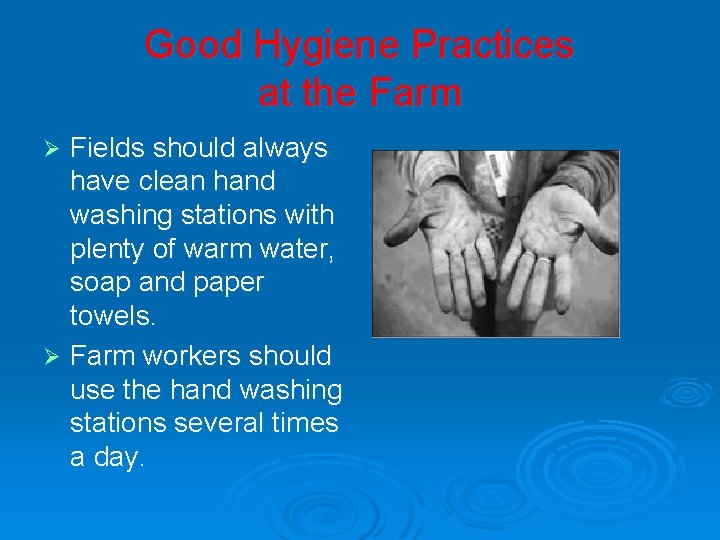 Good Hygiene Practices at the Farm Fields should always have clean hand washing stations