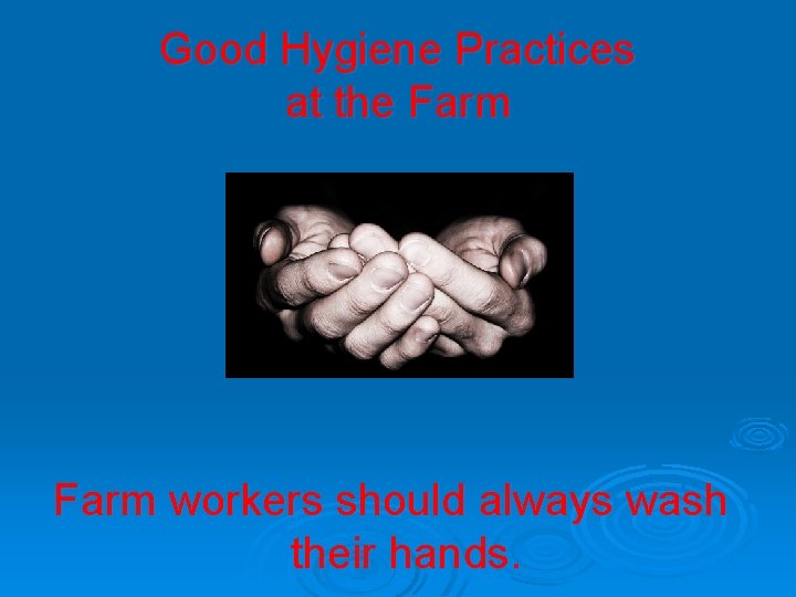 Good Hygiene Practices at the Farm workers should always wash their hands. 