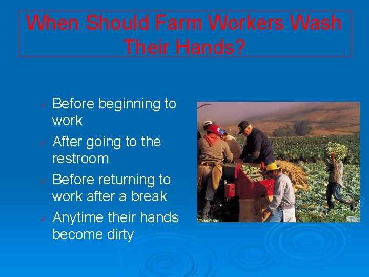 When Should Farm Workers Wash Their Hands? ü ü Before beginning to work After