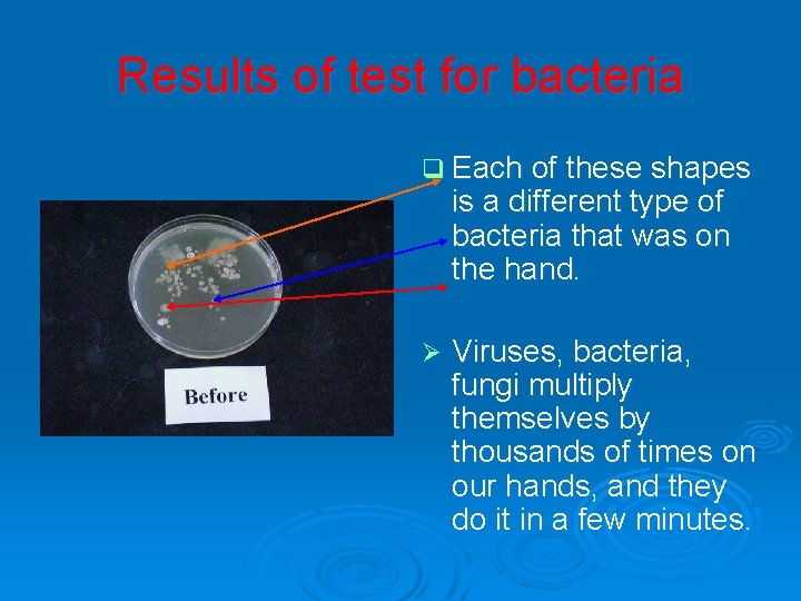 Results of test for bacteria q Each of these shapes is a different type