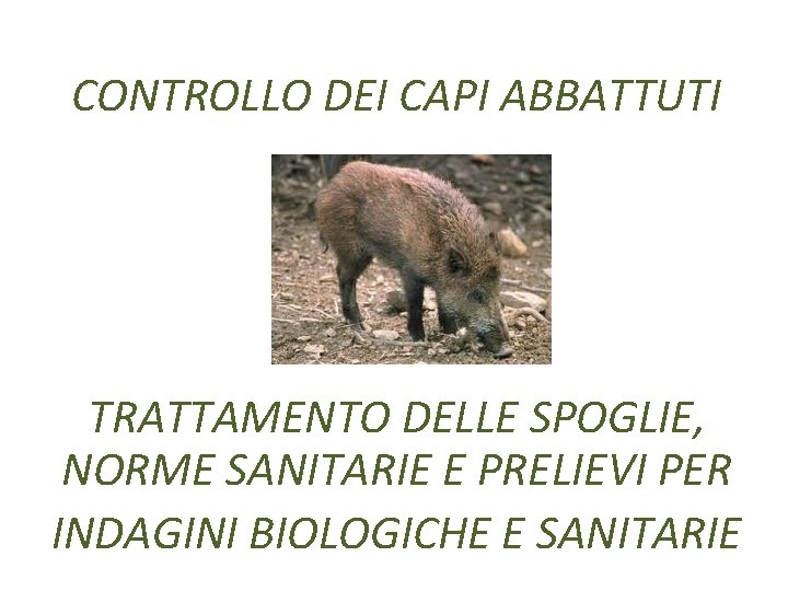 CONTROLLO DEI CAPI ABBATTUTI TRATTAMENTO DELLE SPOGLIE, NORME SANITARIE E PRELIEVI PER INDAGINI BIOLOGICHE