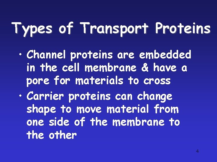 Types of Transport Proteins • Channel proteins are embedded in the cell membrane &