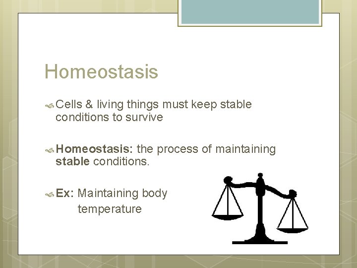 Homeostasis Cells & living things must keep stable conditions to survive Homeostasis: the process