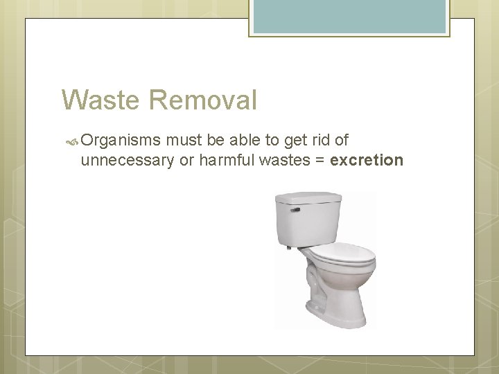 Waste Removal Organisms must be able to get rid of unnecessary or harmful wastes