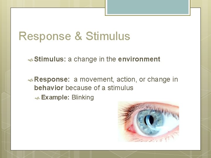 Response & Stimulus: a change in the environment Response: a movement, action, or change