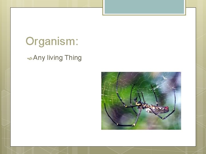 Organism: Any living Thing 