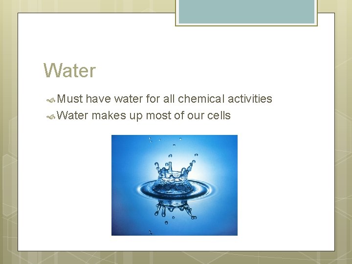 Water Must have water for all chemical activities Water makes up most of our