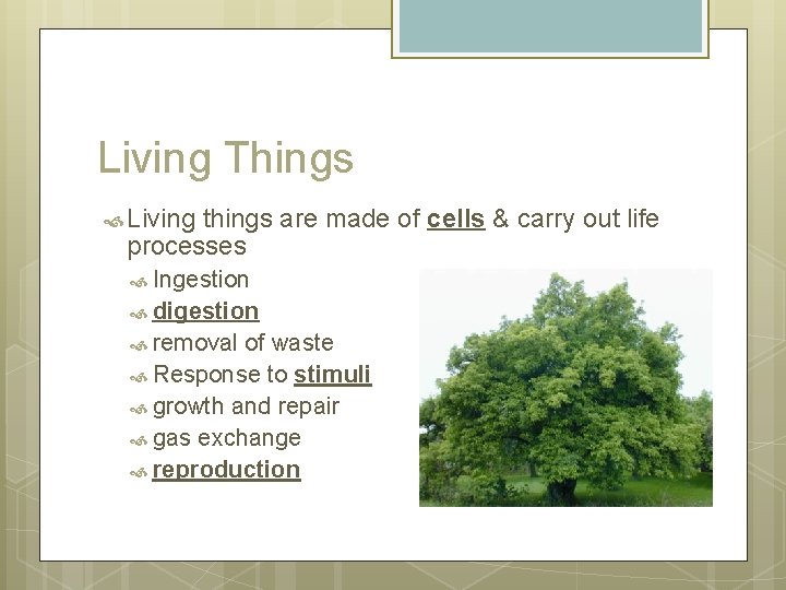 Living Things Living things are made of cells & carry out life processes Ingestion