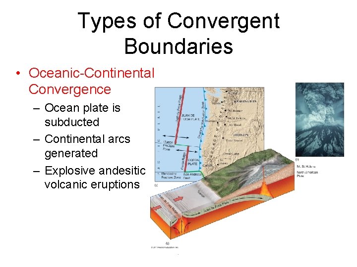 Types of Convergent Boundaries • Oceanic-Continental Convergence – Ocean plate is subducted – Continental