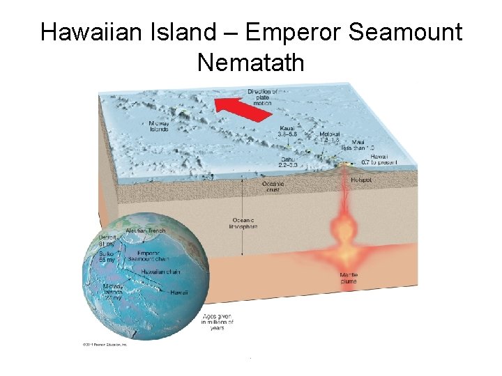 Hawaiian Island – Emperor Seamount Nematath . 