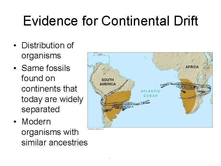 Evidence for Continental Drift • Distribution of organisms • Same fossils found on continents