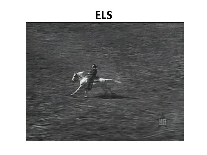 ELS 