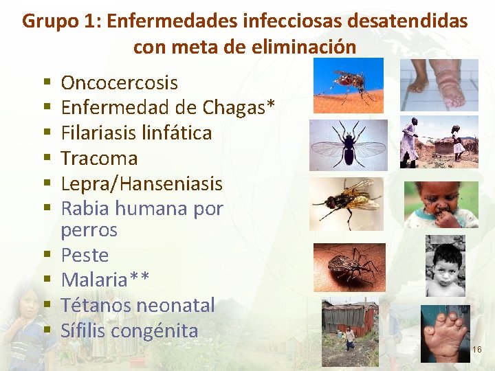 Grupo 1: Enfermedades infecciosas desatendidas con meta de eliminación Oncocercosis Enfermedad de Chagas* Filariasis