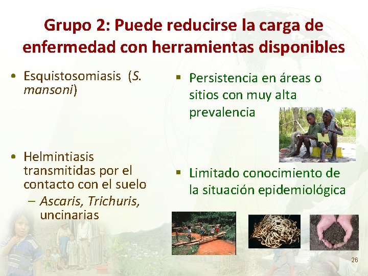 Grupo 2: Puede reducirse la carga de enfermedad con herramientas disponibles • Esquistosomiasis (S.