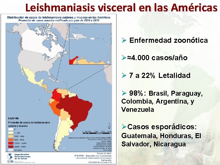 Leishmaniasis visceral en las Américas Ø Enfermedad zoonótica Ø≈4. 000 casos/año Ø 7 a
