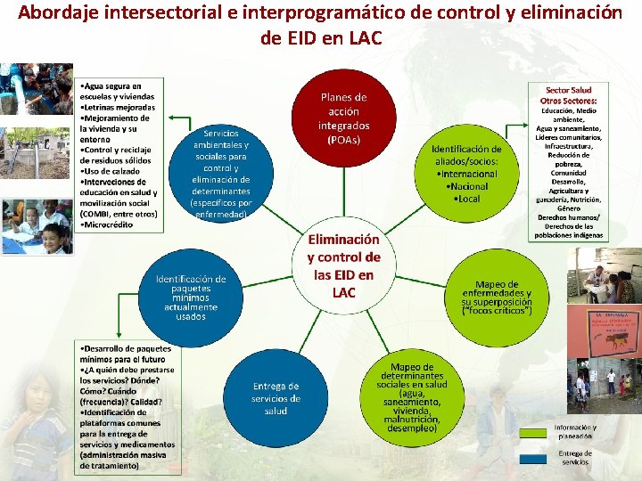 Abordaje intersectorial e interprogramático de control y eliminación de EID en LAC 
