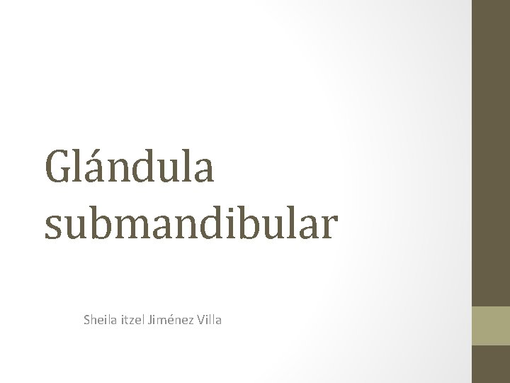 Glándula submandibular Sheila itzel Jiménez Villa 