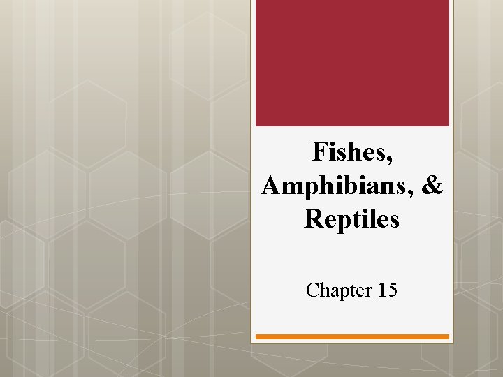 Fishes, Amphibians, & Reptiles Chapter 15 