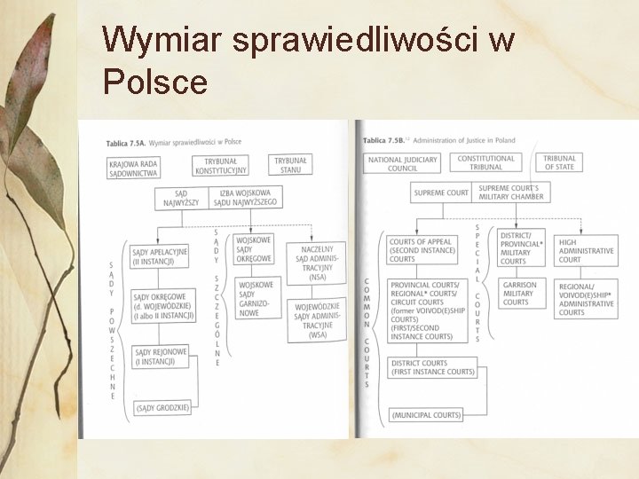 Wymiar sprawiedliwości w Polsce 