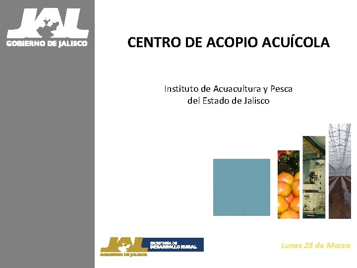 CENTRO DE ACOPIO ACUÍCOLA Instituto de Acuacultura y Pesca del Estado de Jalisco Lunes