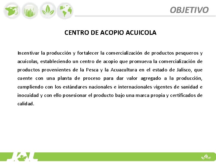 OBJETIVO CENTRO DE ACOPIO ACUICOLA Incentivar la producción y fortalecer la comercialización de productos
