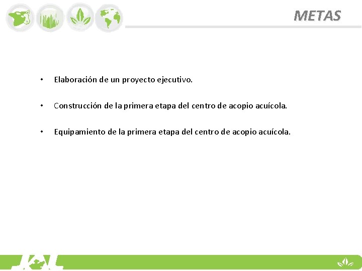 METAS • Elaboración de un proyecto ejecutivo. • Construcción de la primera etapa del