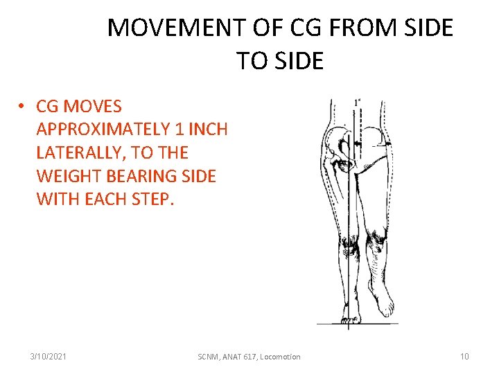 MOVEMENT OF CG FROM SIDE TO SIDE • CG MOVES APPROXIMATELY 1 INCH LATERALLY,